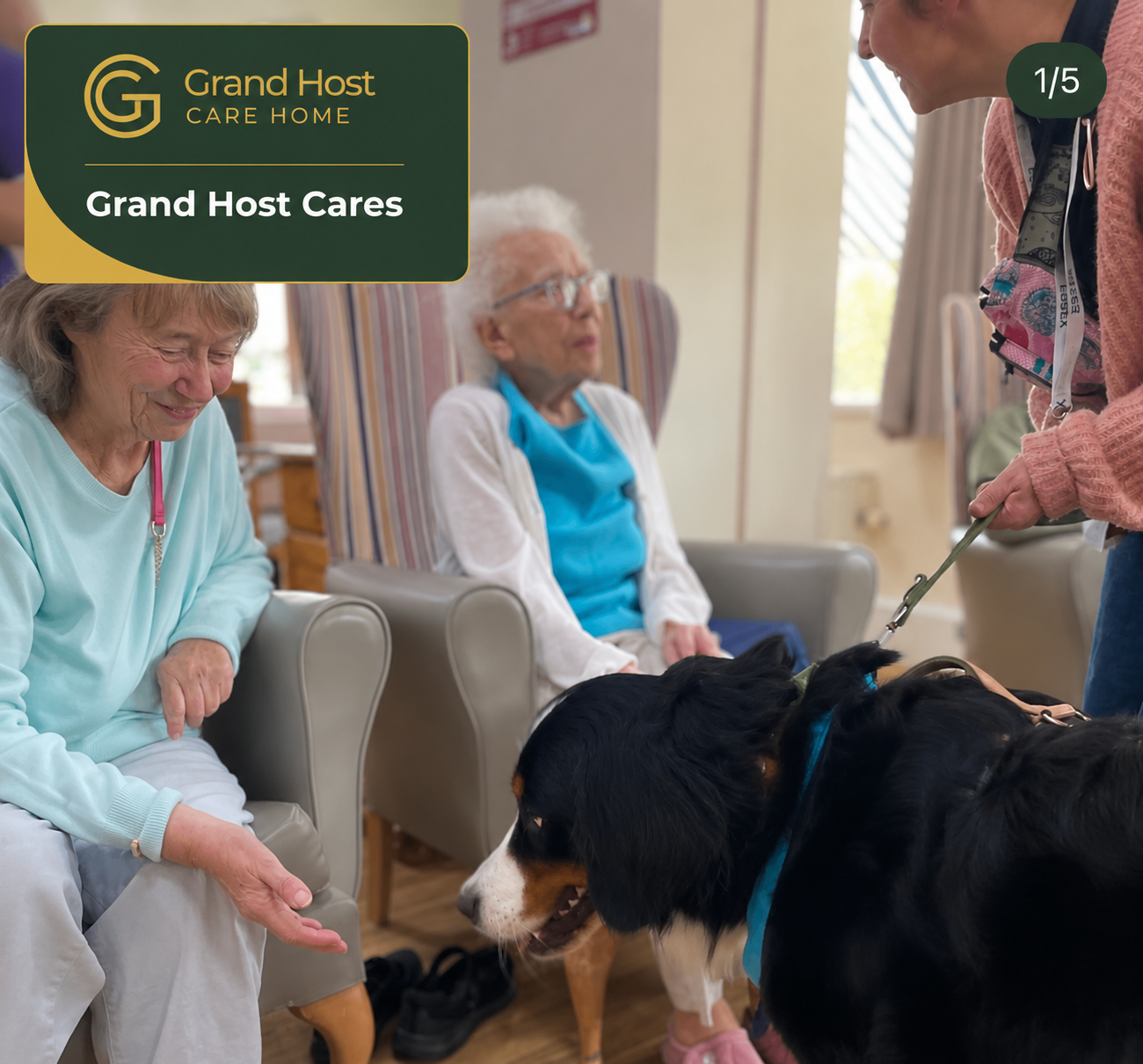 Residents greeting a therapy dog in the lounge